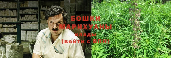 спиды Богородицк