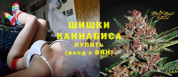 спиды Богородицк