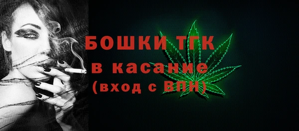 гидропоника Богданович