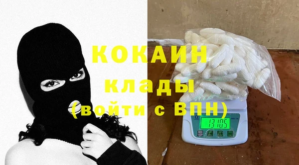 спиды Богородицк
